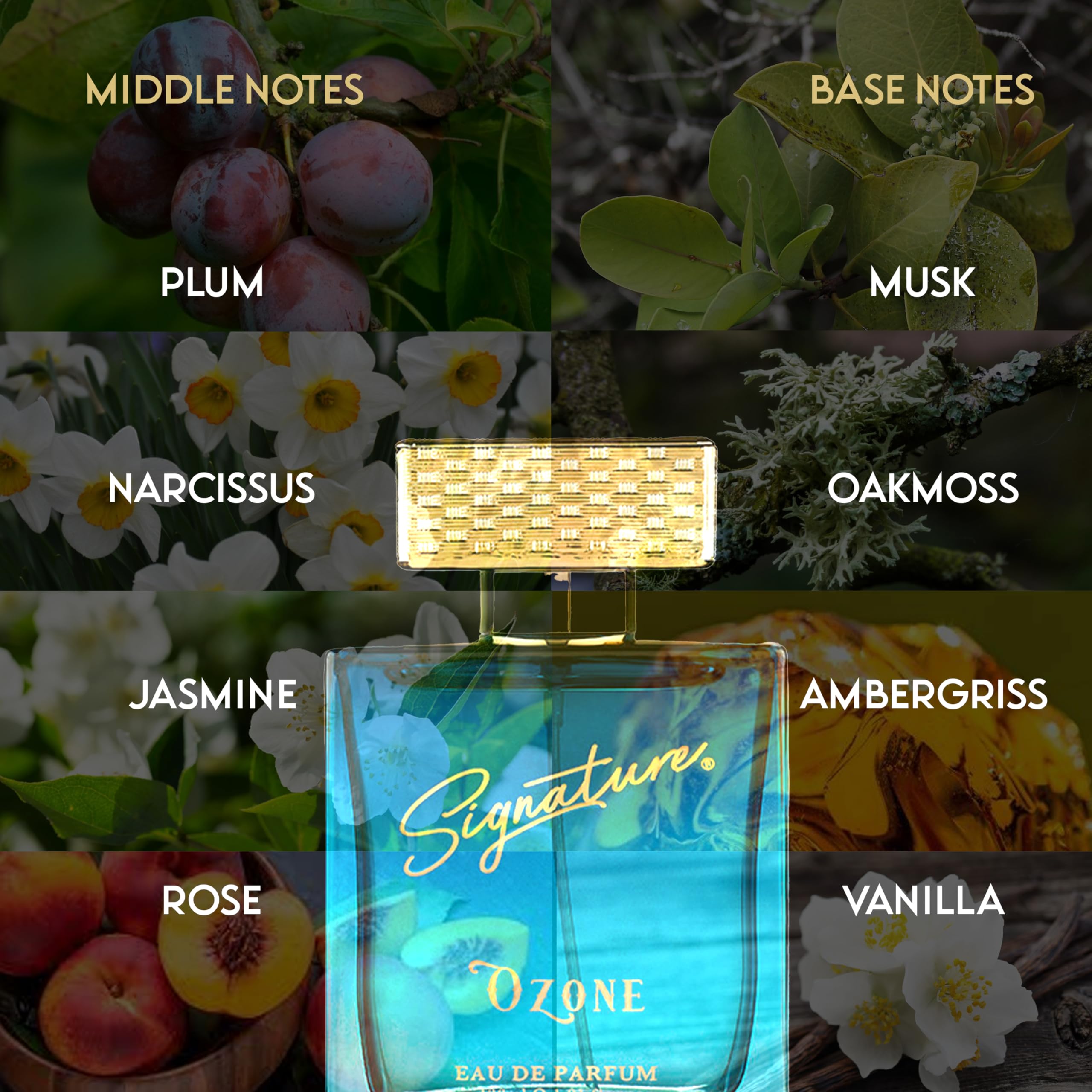 Ozone Perfume for Men