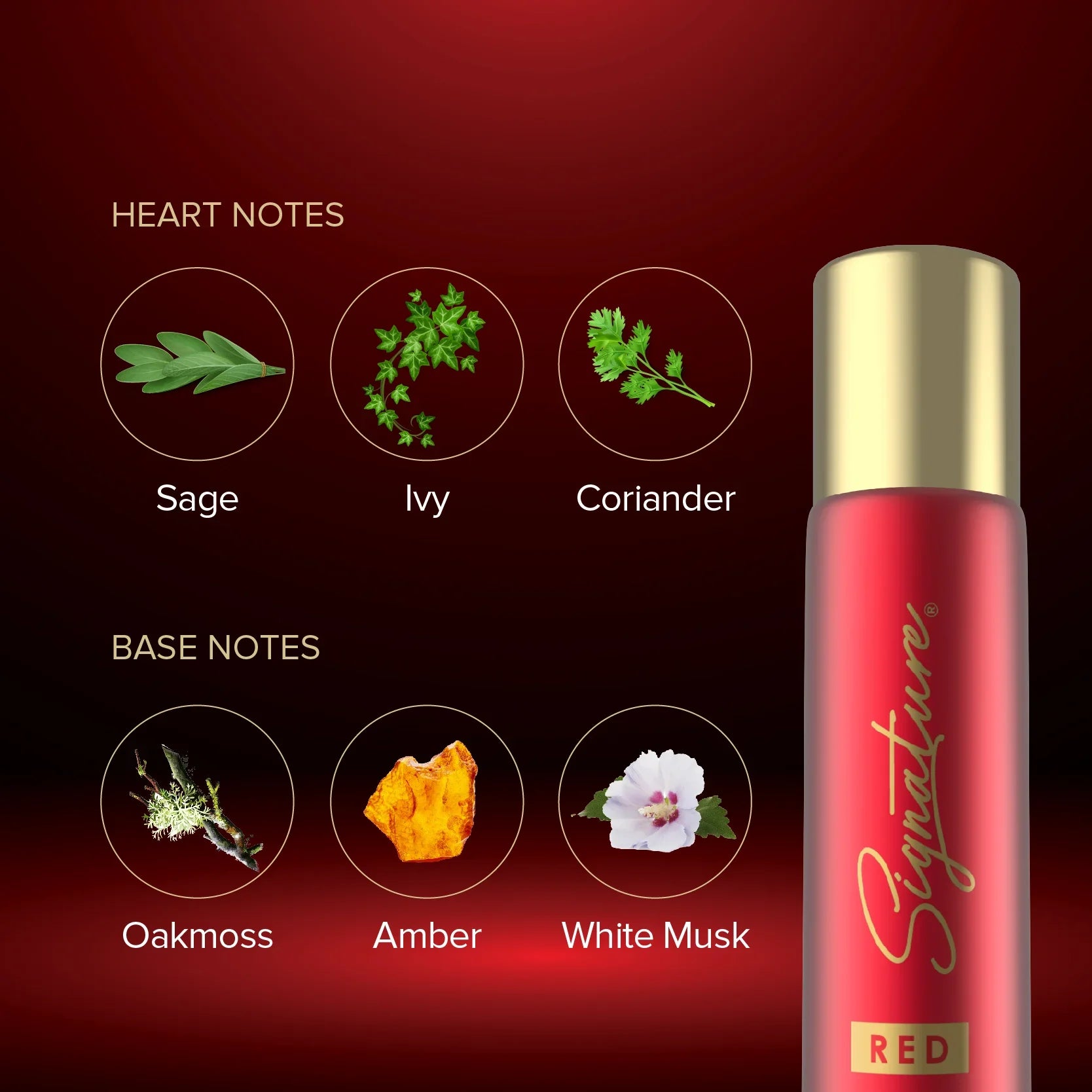 Red Best Body Deo by Signature Luxury