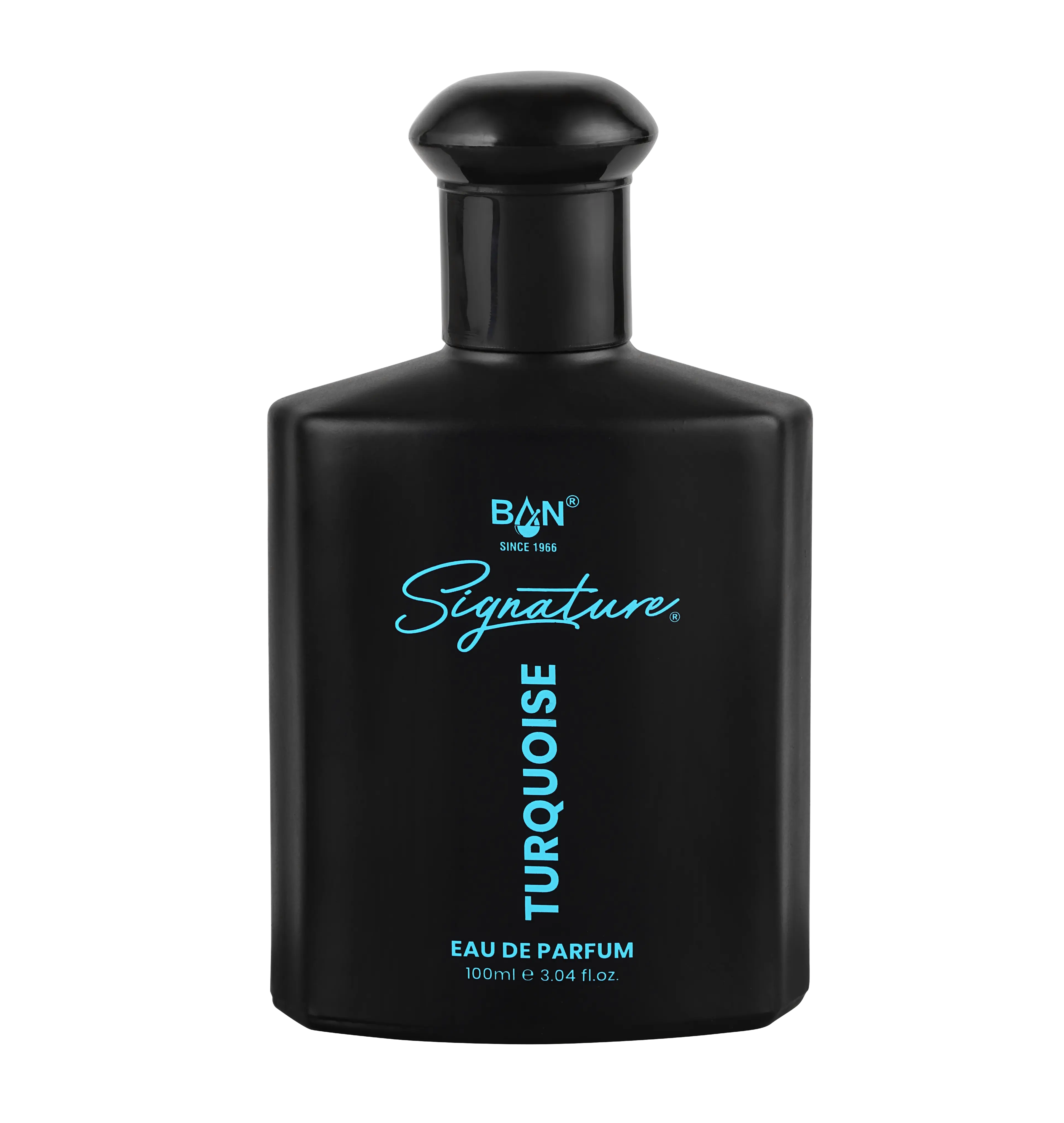 TURQUOISE – Men's Eau De Parfum - 100ml | Bold Amber Spicy Fragrance  Fragrances