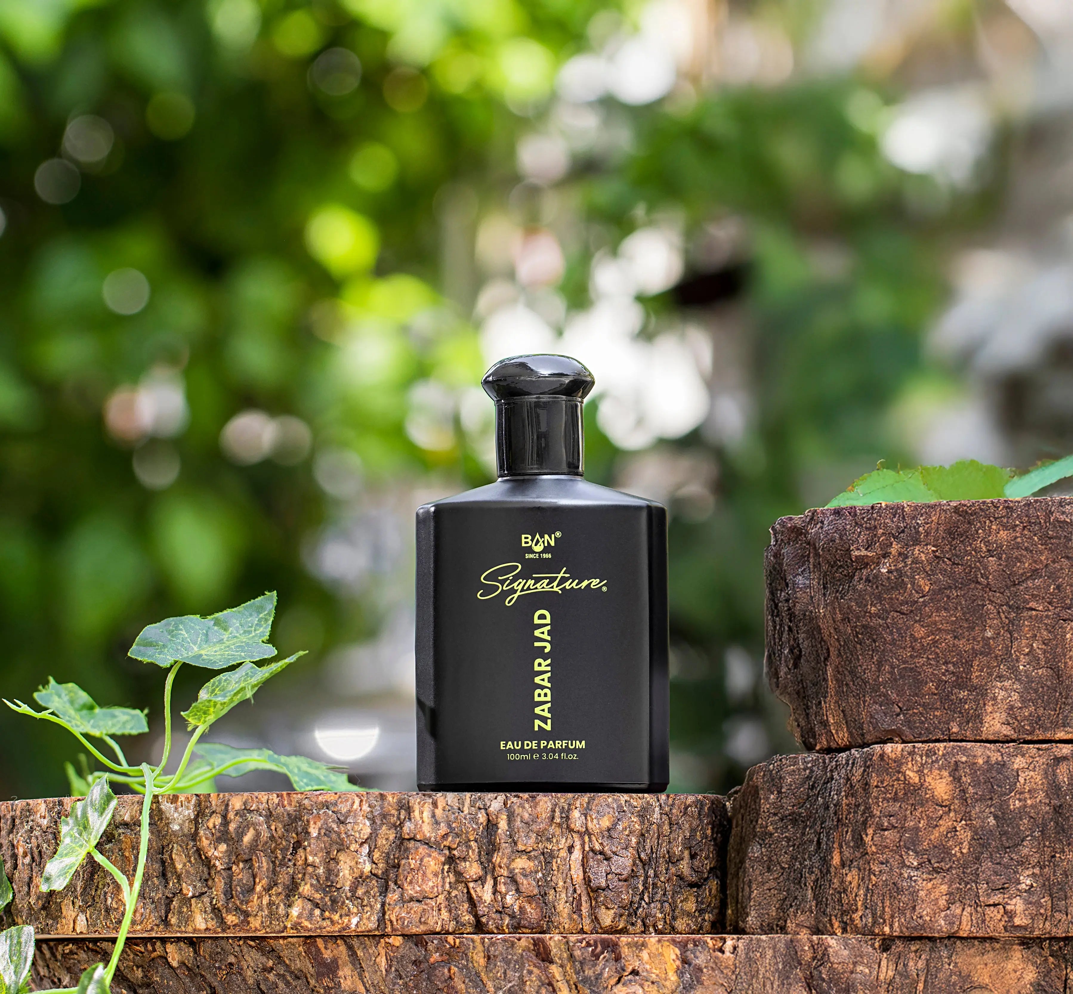 Zabar Jad – Unisex Eau De Parfum - 100ml | Sweet Spicy Wood & Oud  Fragrances