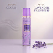 Lavender Premium Room & Car Perfume (Pack of 3) | 250 ML | Room Spray Air Freshener Combo  Fragrances