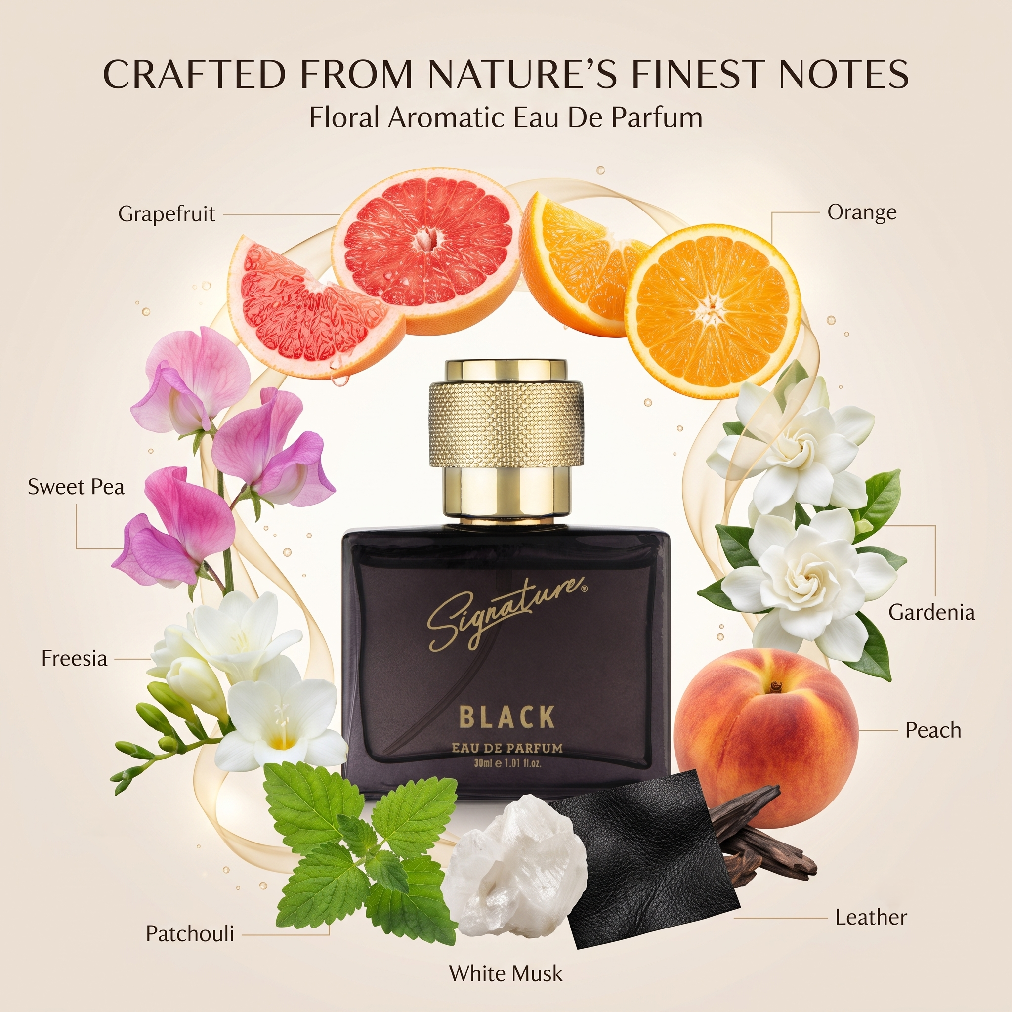 Premium Black  Fragrances
