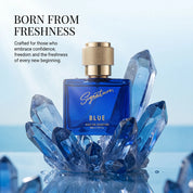 Premium Blue  Fragrances