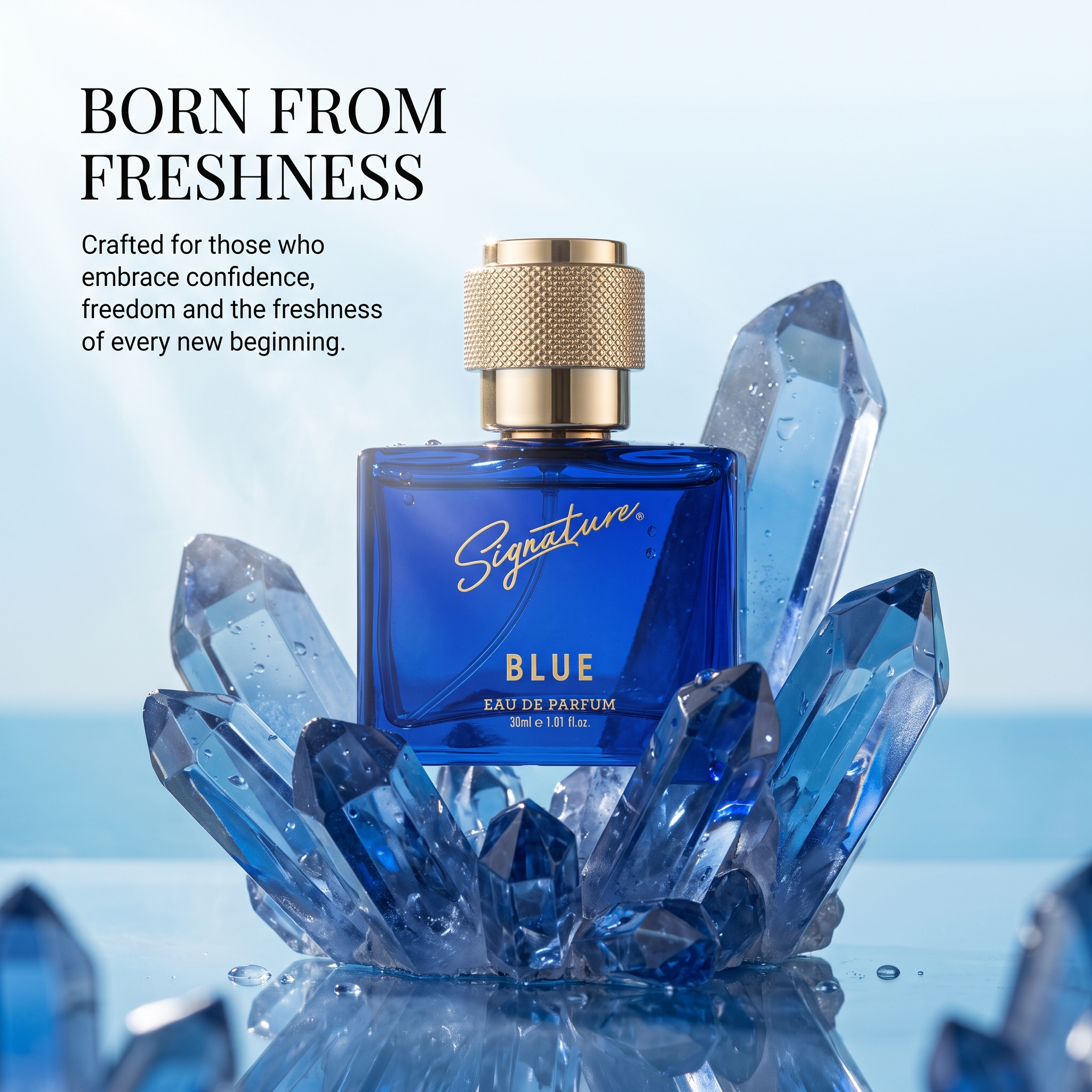 Premium Blue  Fragrances