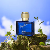Premium Blue