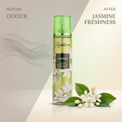 Jasmine  Fragrances