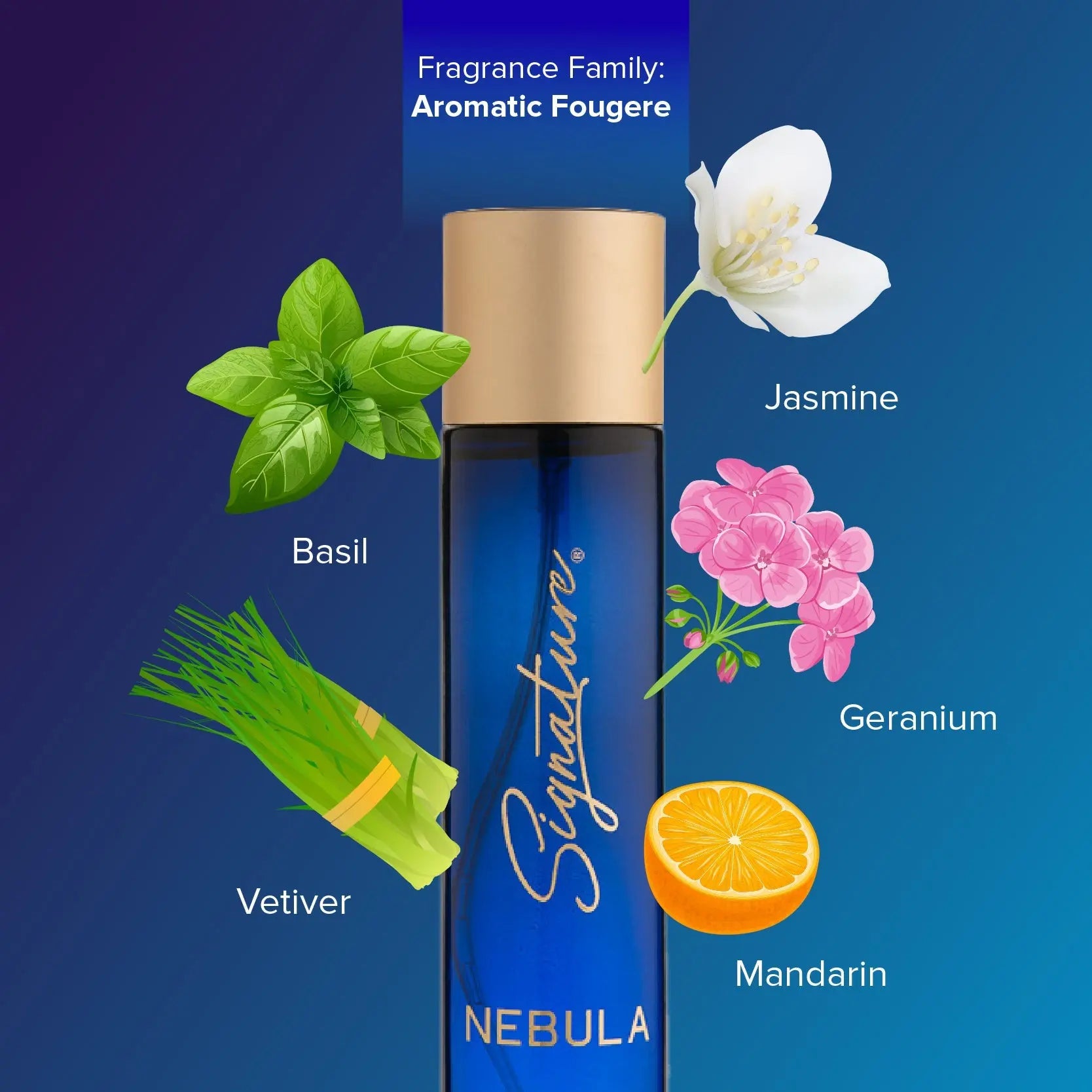 Buy Nebula Best Unisex Fragrance | Long-Lasting Perfume for Women