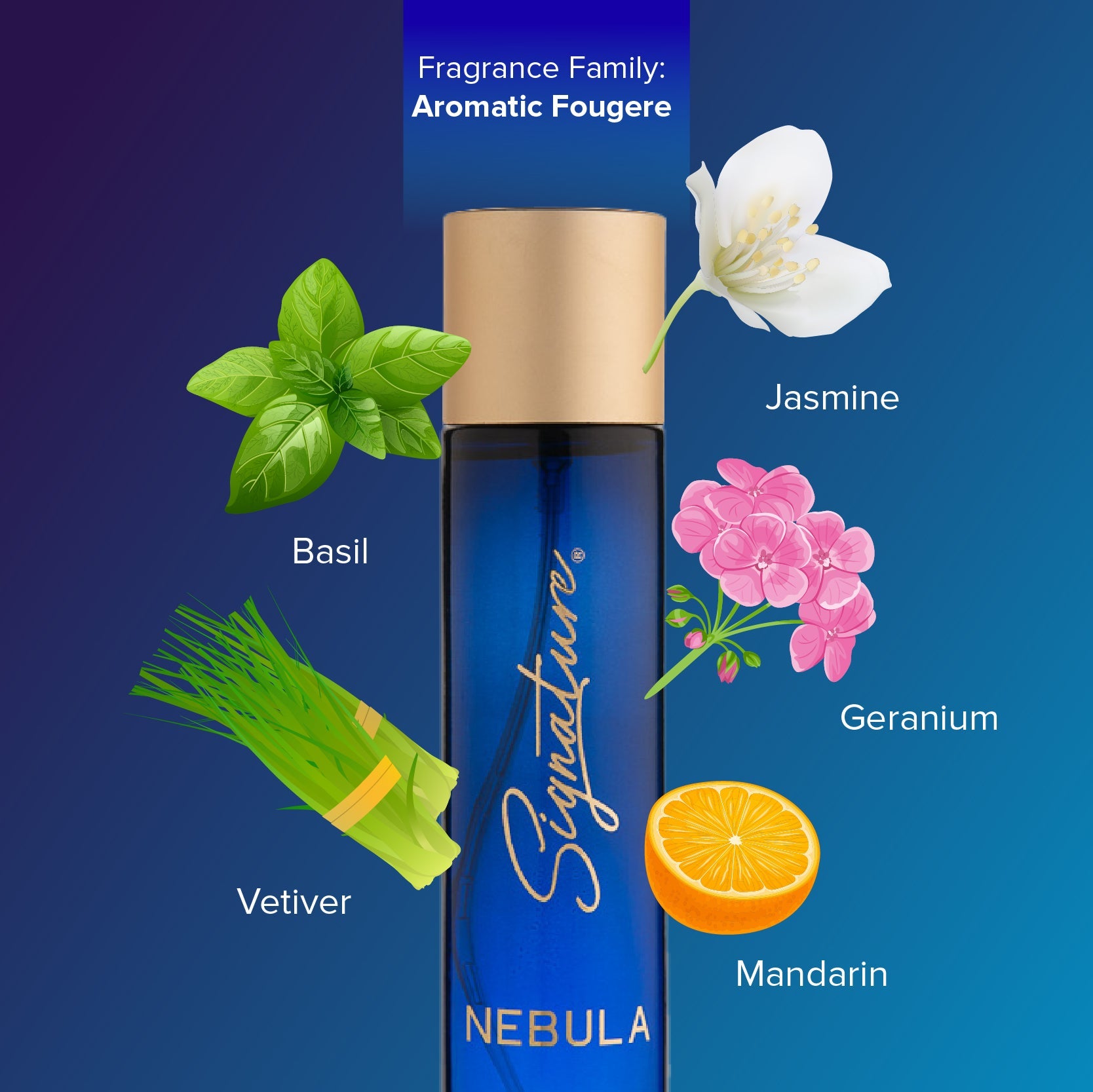 Perfume NEBULA ROMANCE フーディー Lサイズ 新品未使用 Perfume NEBULA ROMANCE フーディー Lサイズ 新品未使用 - メルカリ