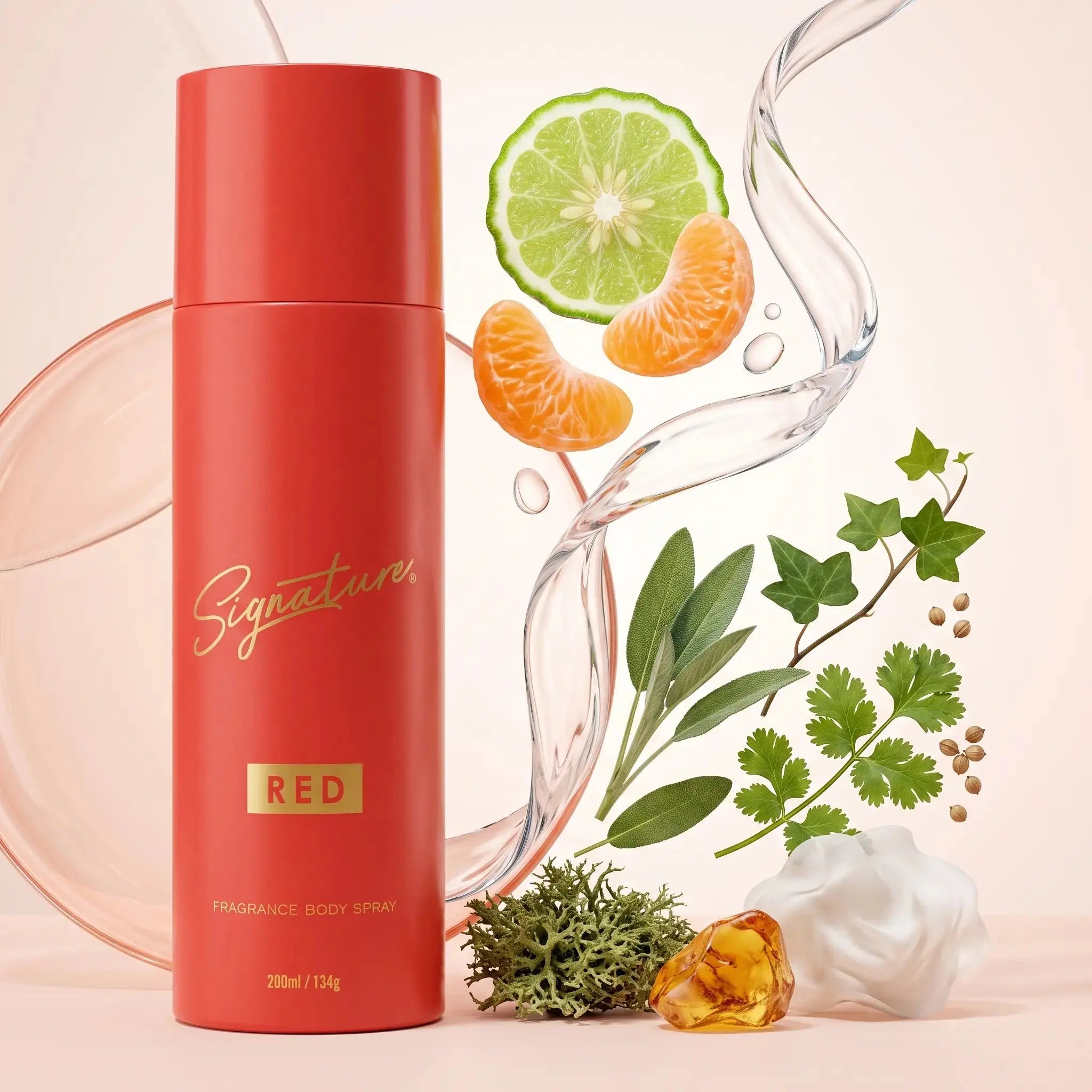 Deodorant Body Spray  Fragrances