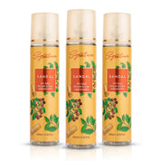 Sandalwood Air Freshener Sprays (Pack of 3) | 250 ML | Air Freshener Combo | Perfect for Any Space  Fragrances
